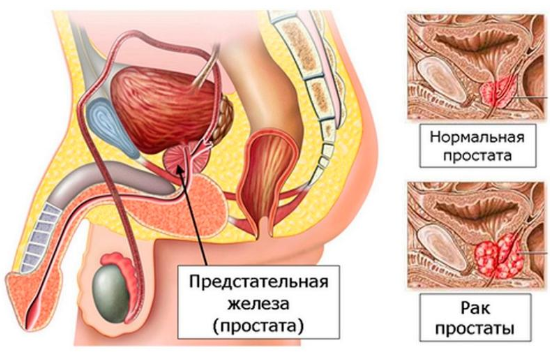 фото: https://www.mosmedportal.ru/