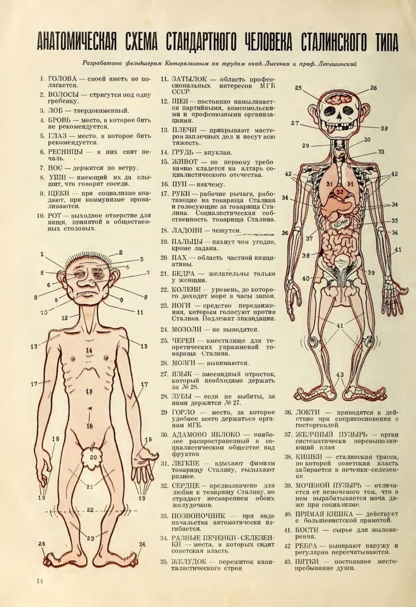 Журнал «Сатирикон», 1951 год, Франкфурт 