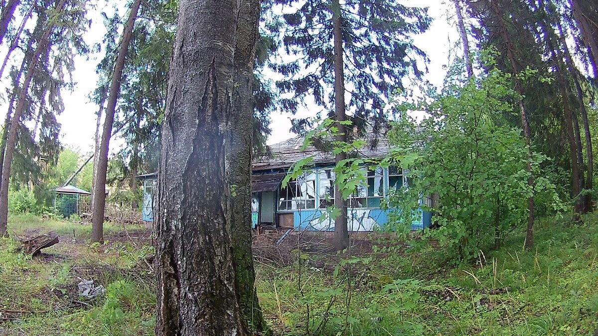 Пионерский лагерь московский родник истринский район фото