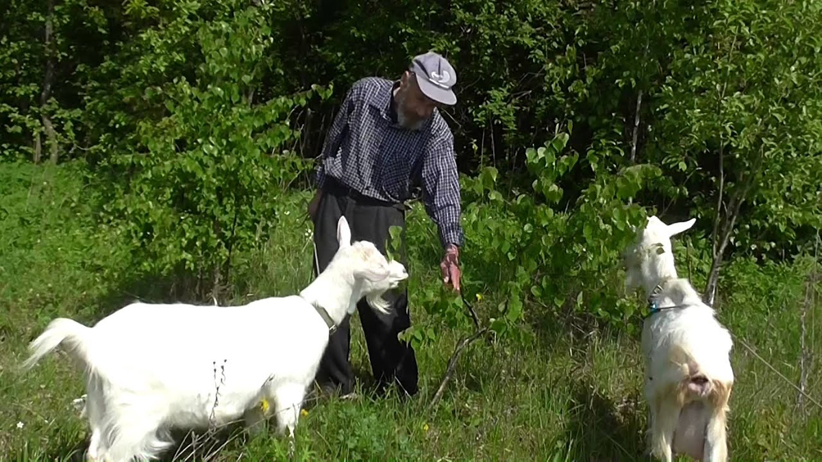 Фото с Яндекс картинки