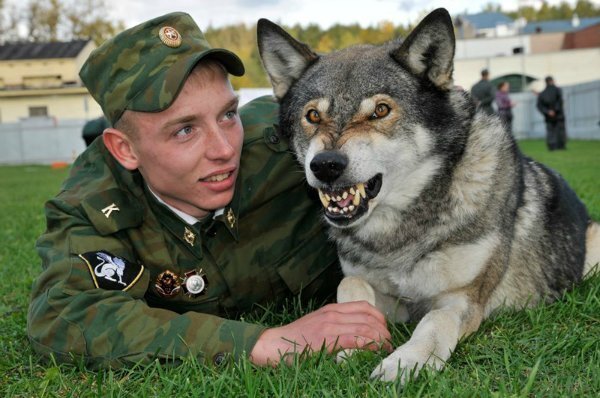 фото: особаке.бу