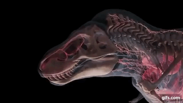 Ммм, запах жареной картошечки 