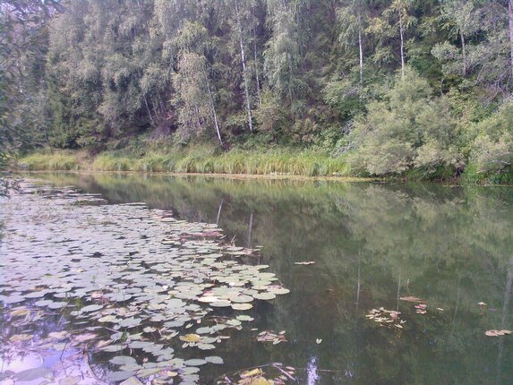 Река лежа фото. Otra река. Река лежа рыбалка. Река новинка ленинградская область. Река лежала без.
