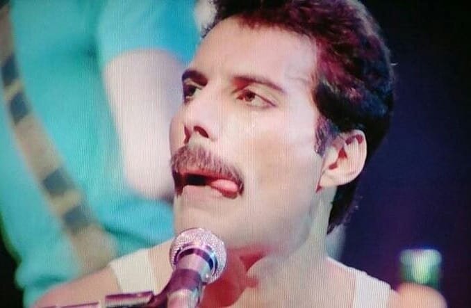 Солиста группы Queen Фредди Меркьюри. 