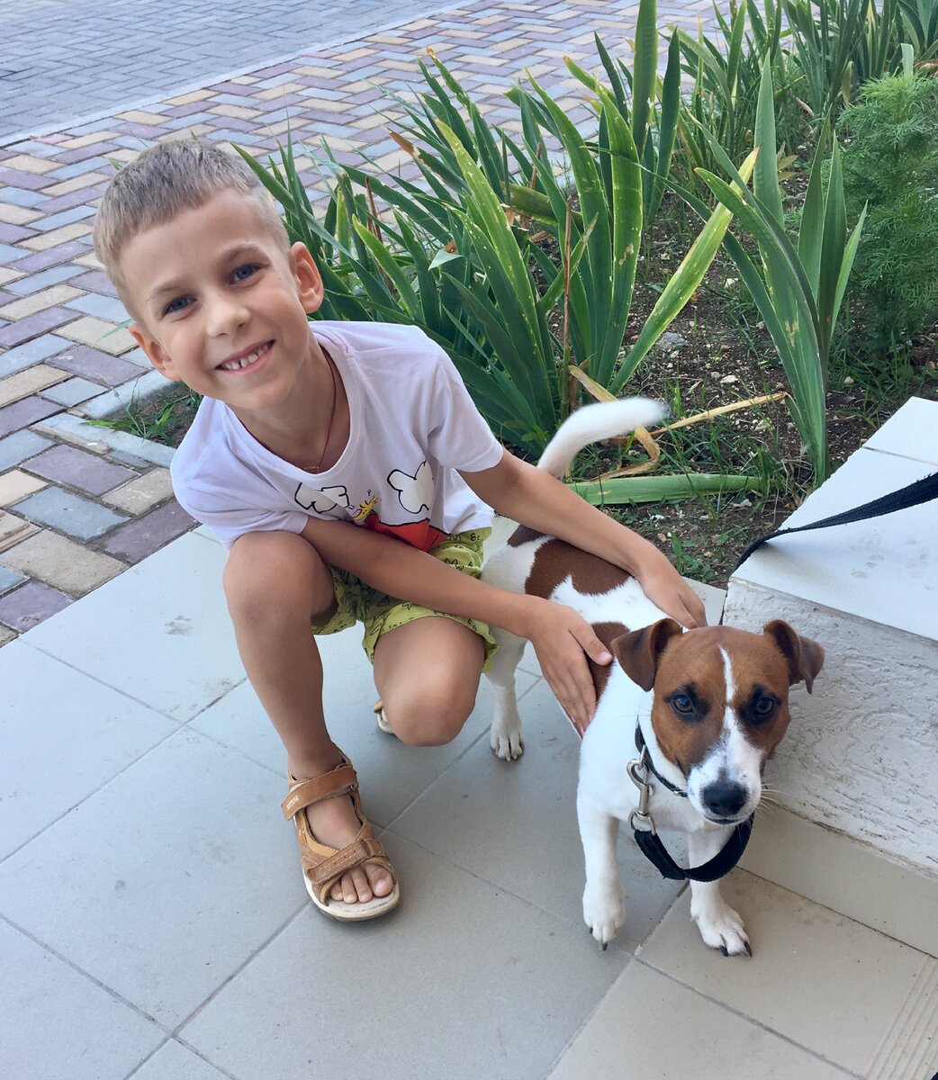 Наш  любимый пес Мартин