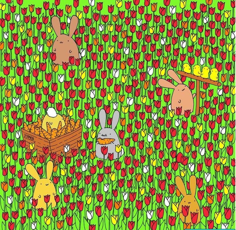 Тесты на внимательность для взрослых и детей. Найти на картинке яйцо. Фото из интернета