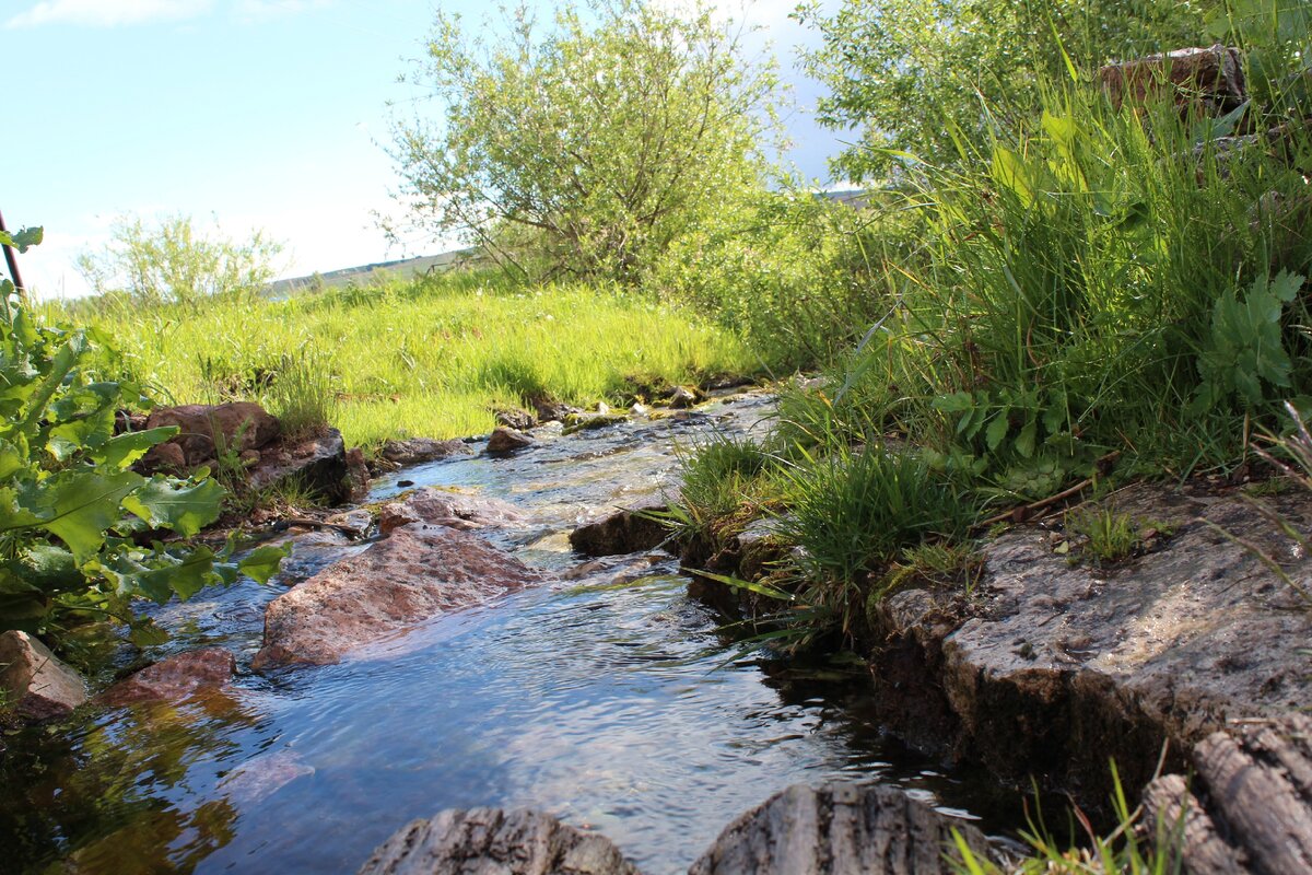 Курчане. Родник Шарлама Бижбулякский. Шарлама (река).