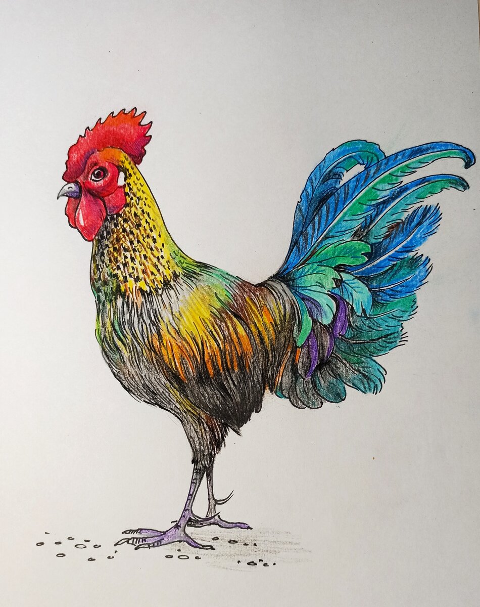 Формат листа может быть любой, я рисовала на А4.