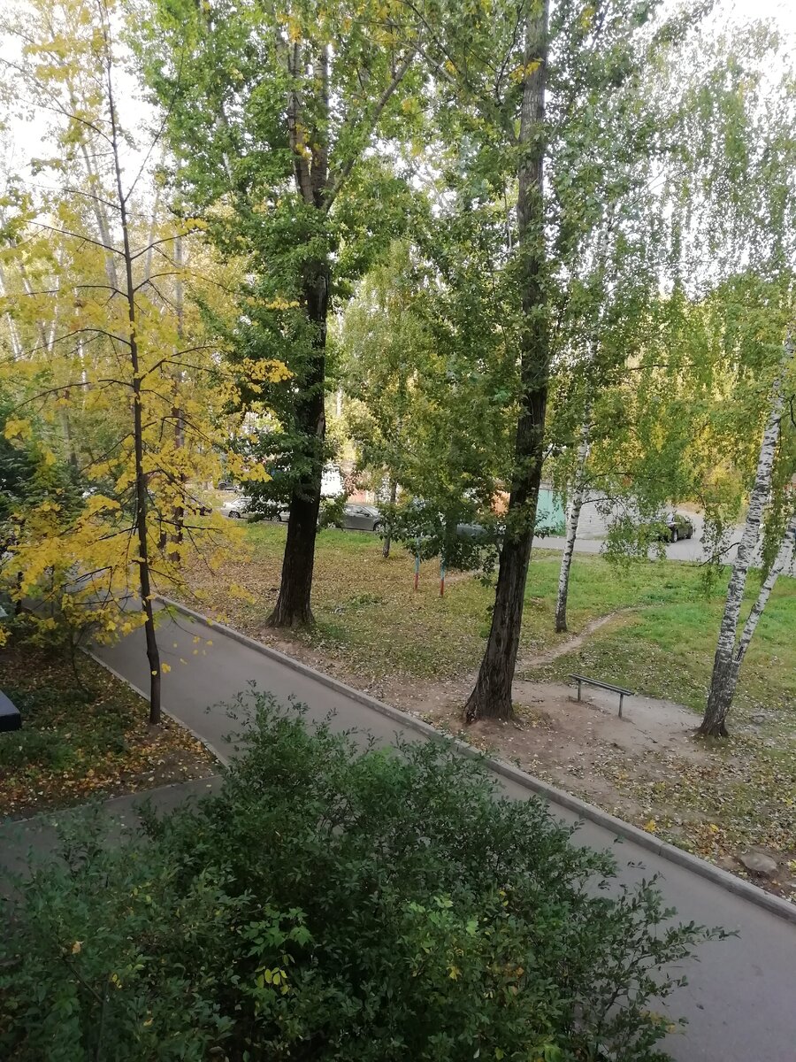 Красота на улице