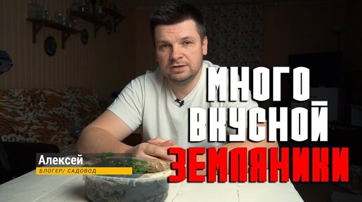 Земляника из семян. Как вырастить землянику и клубнику, простой способ размножения