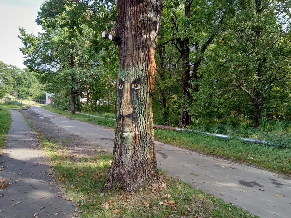 Фото автора. Идешь себе с пасмурным настроением, а тут - сказочное дерево)