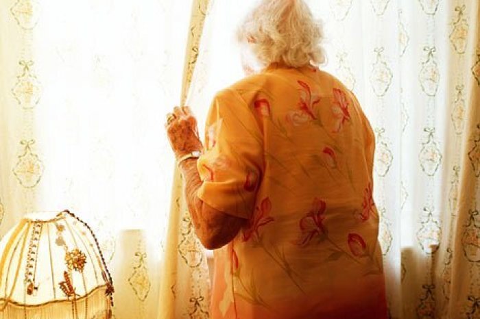 Яндекс. Картинки 