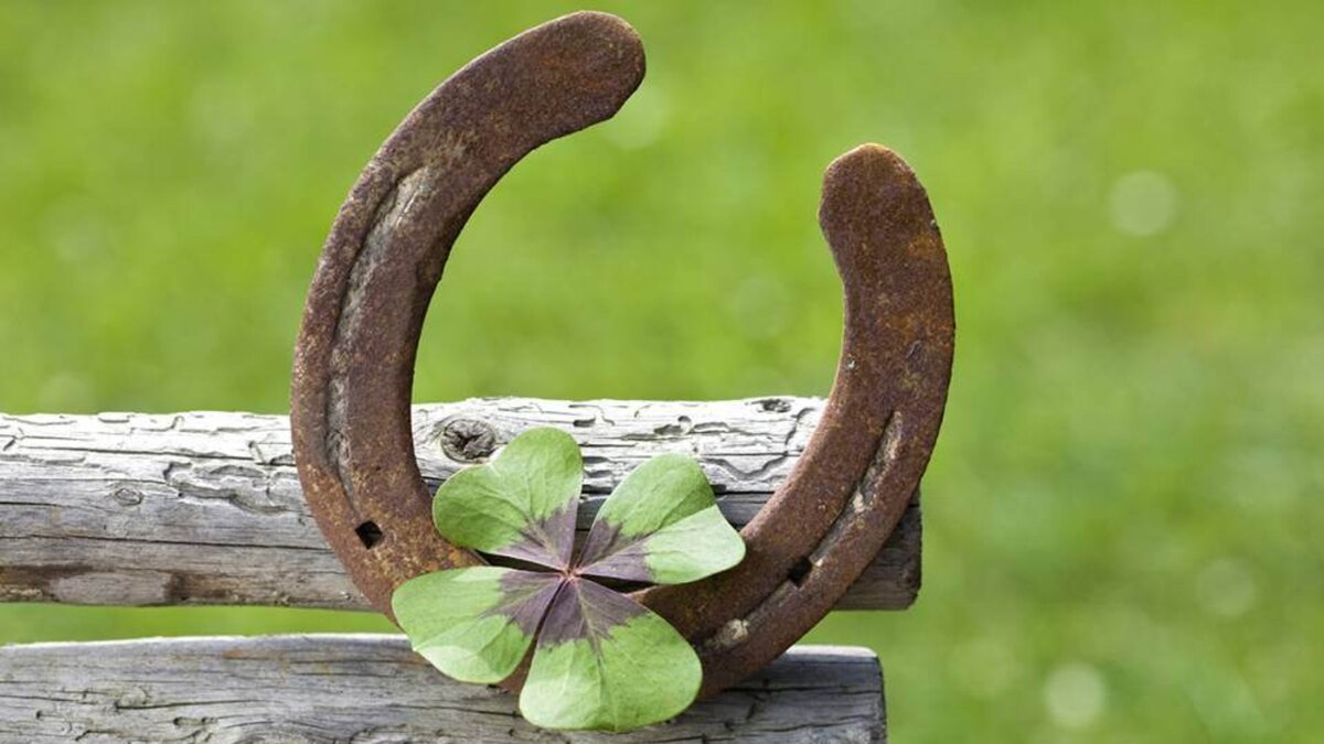 Подписывайтесь на канал и ставьте лайки. Спасибо!