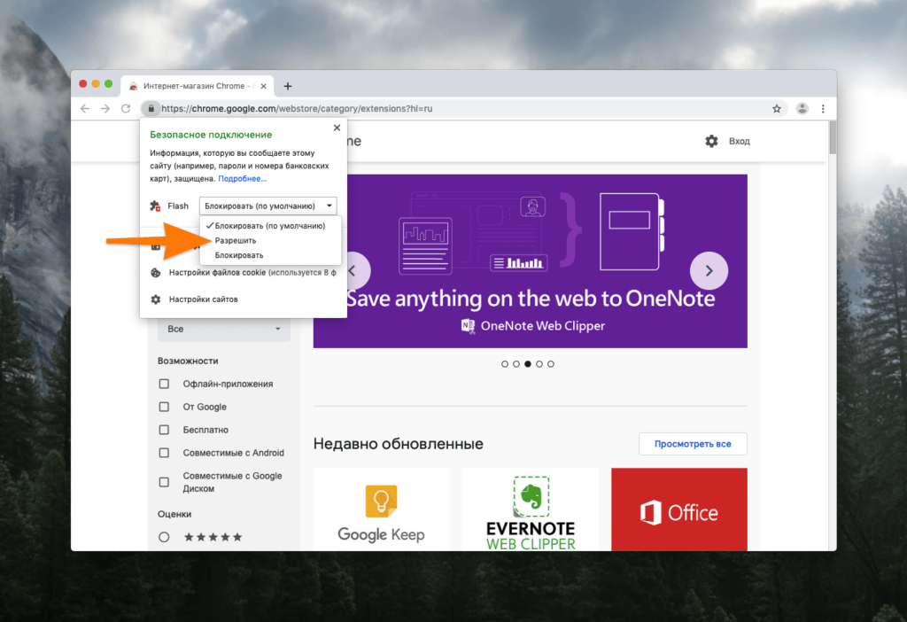 Как разрешить флеш плеер на сайте в хроме