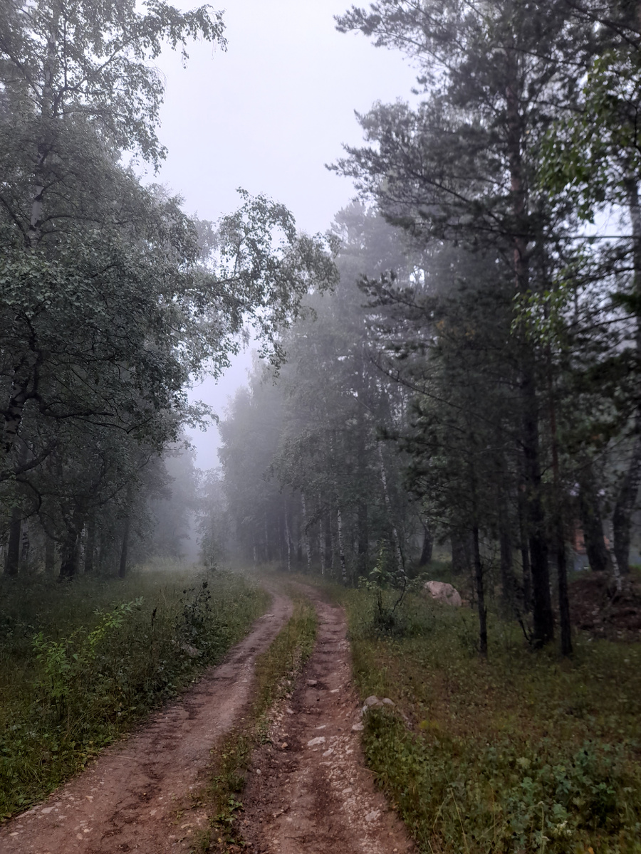 Утро туманное, утро седое. Фото автора