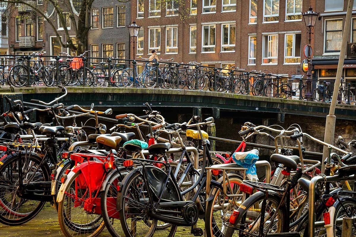 Велосипед в Нидерландах - самый распространенный транспорт.