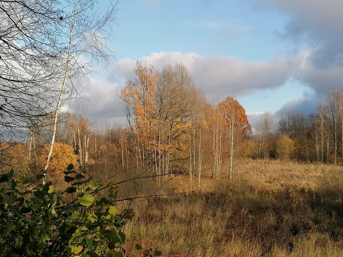 А это в ближайшем будущем