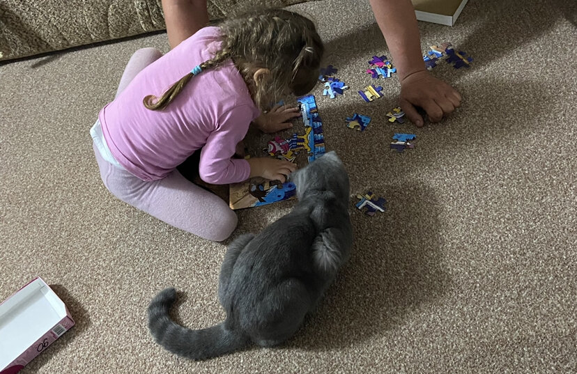 совместный досуг, обязателен