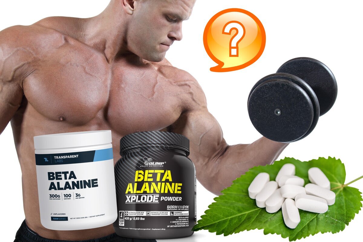 Бета-аланин защищает клетки от повреждений и позволяет мышцам работать без усталости. Источник фото: https://clck.ru/YFDJW
