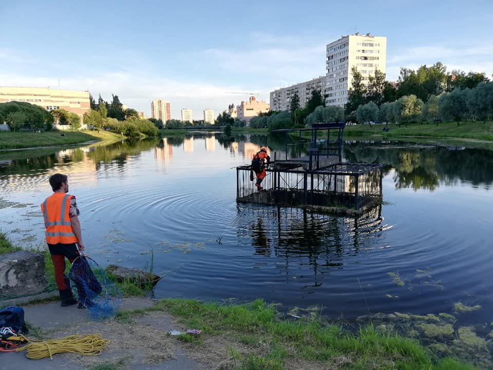 Водослив на,реке Новая, улица Солдата Корзуна/пр.Маршала Жукова 54к6. Добираться только вплавь.
