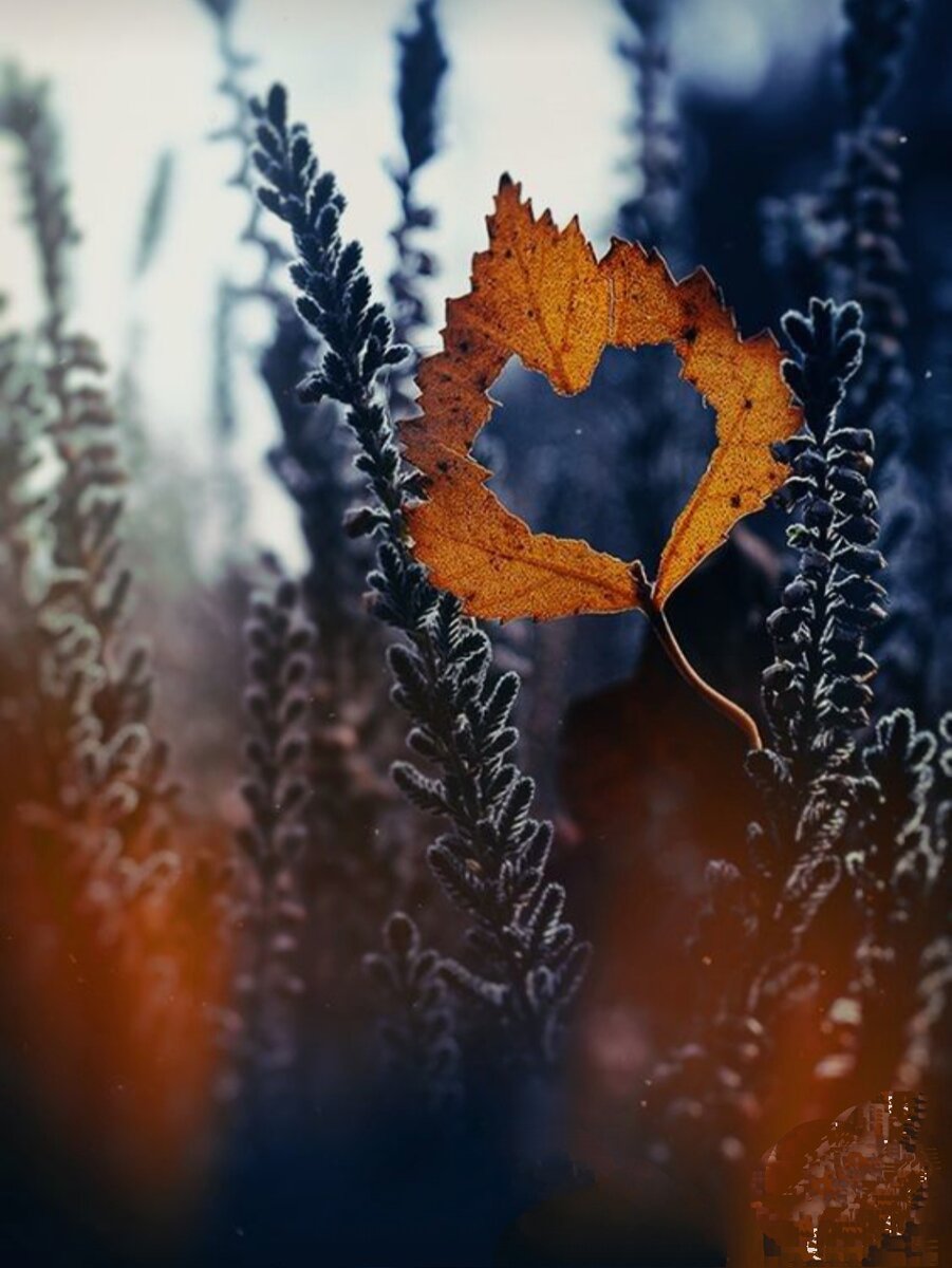 Источник: Pinterest.ru
