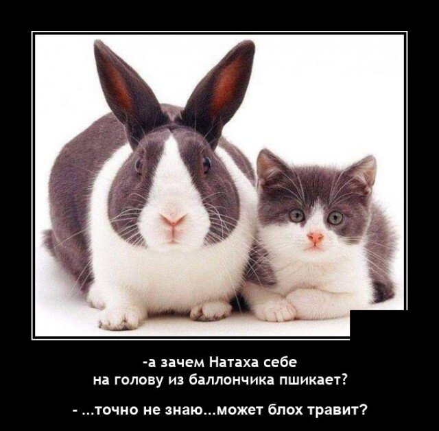 Вот глупая =)