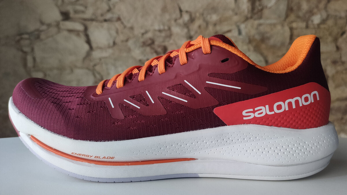 Salomon Spectur