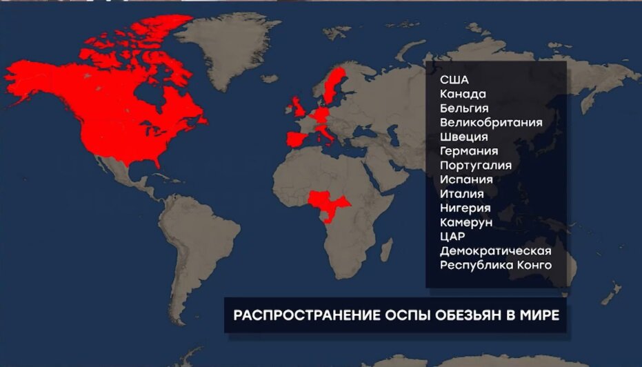 Изображение: ntv.ru | «Место встречи»: Всадники апокалипсиса?! (24.05.2022) | Screenshot автора 