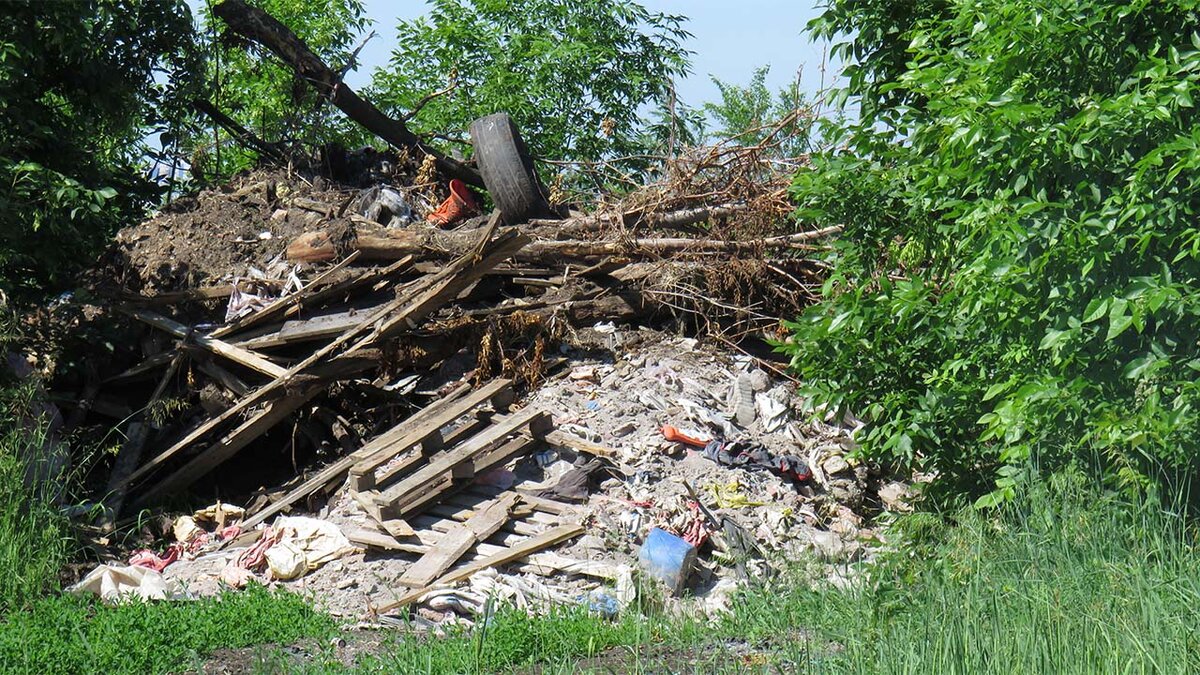 На тебе, боже, что нам не гоже