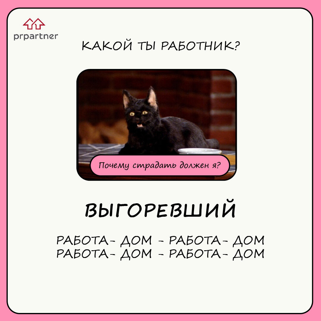 Мемы с котиками из Телеграм-канала PR Partner