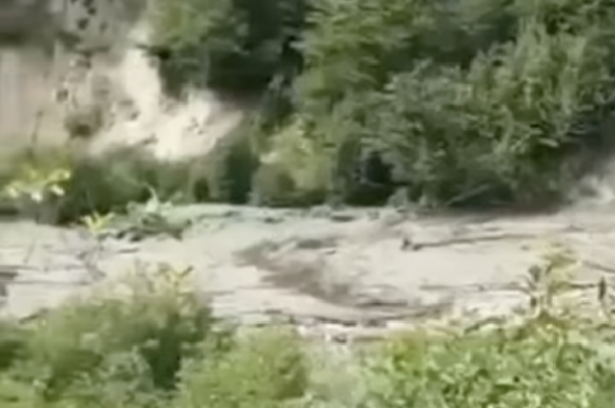    Тело погибшей при сходе оползня в Грузии россиянки доставили на родину