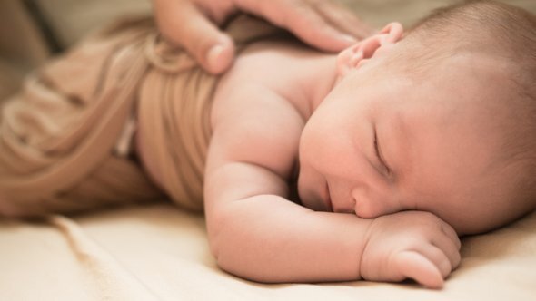    Фото: Veronika Zelenina / Shutterstock / Fotodom