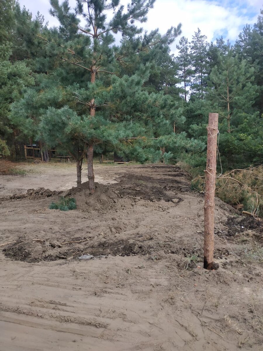 Вот такие столбы. 3 метра, снизу метр зачищал и пропитывал отработанным машинным маслом