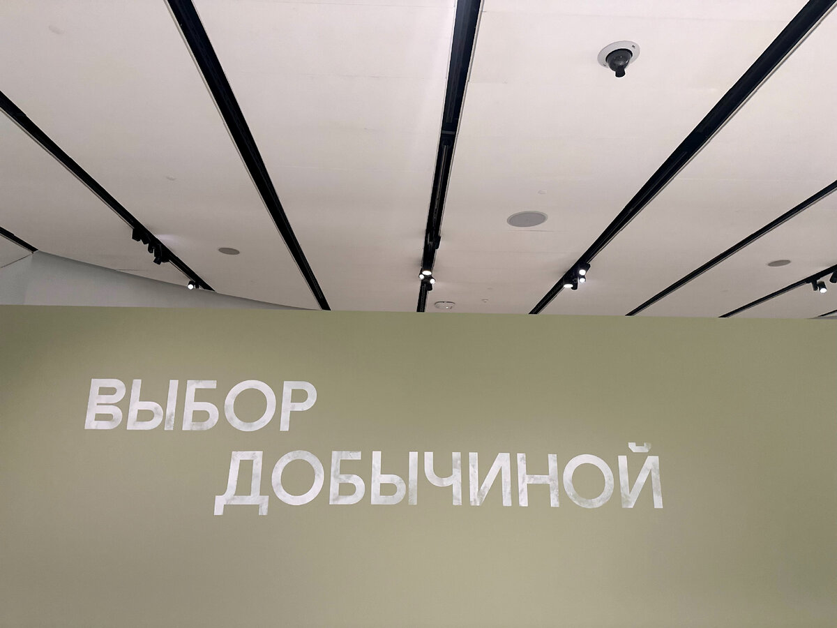  Фото автора с выставки "Выбор Добычиной"