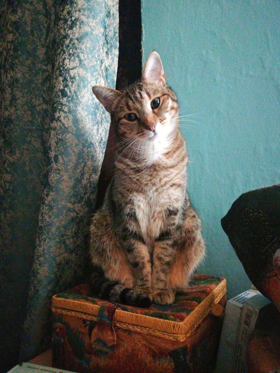 А зачем вспоминать то, что вспоминать не надо??