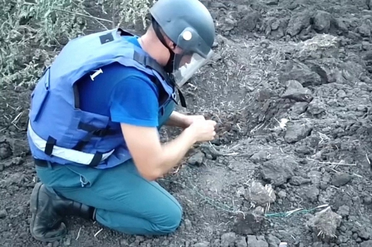    Донские пиротехники обезвредили фугасную авиабомбу в Чалтыре