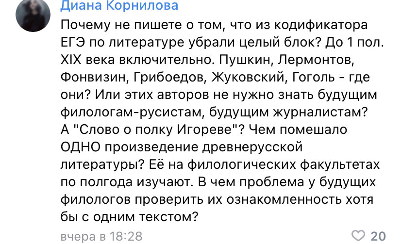 Результаты региона по литературе 2024. ЕГЭ литература 2024. Почему убрали Пушкина из ЕГЭ по литературе. ЕГЭ литература Дата 2024. Теория для ЕГЭ по литературе 2024.