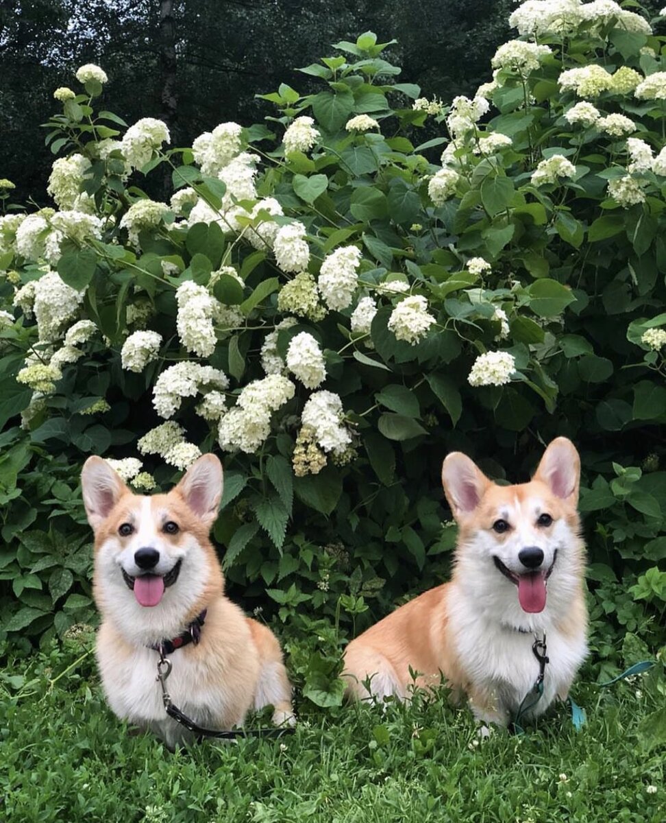 Фото из личного архива