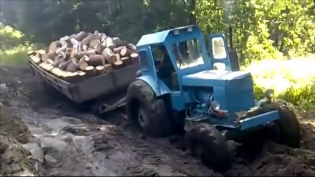 Яндекс картинки