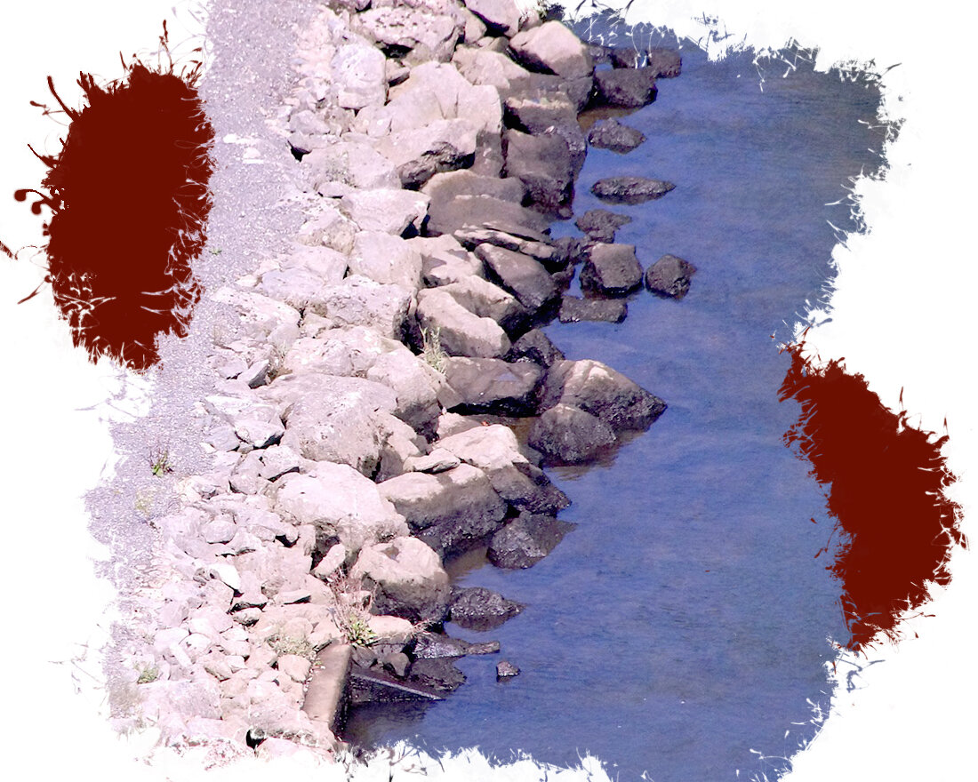 1. Image by Monsterkoi from Pixabay 