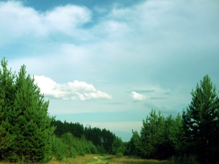 Татьяна Ельники