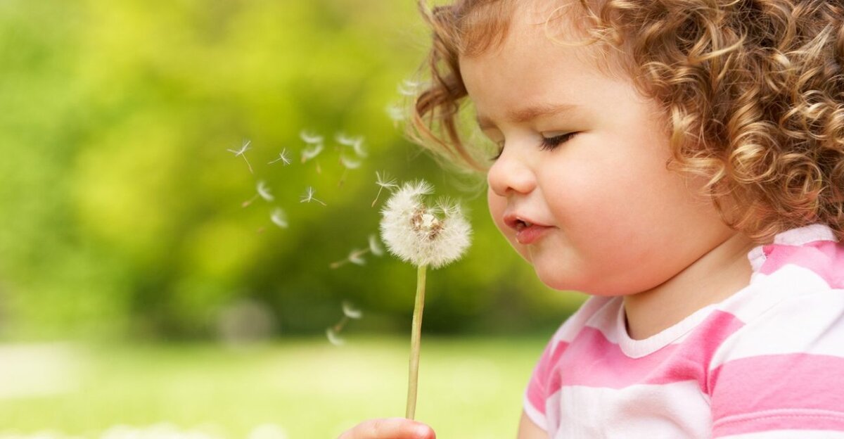 картинка из интернета