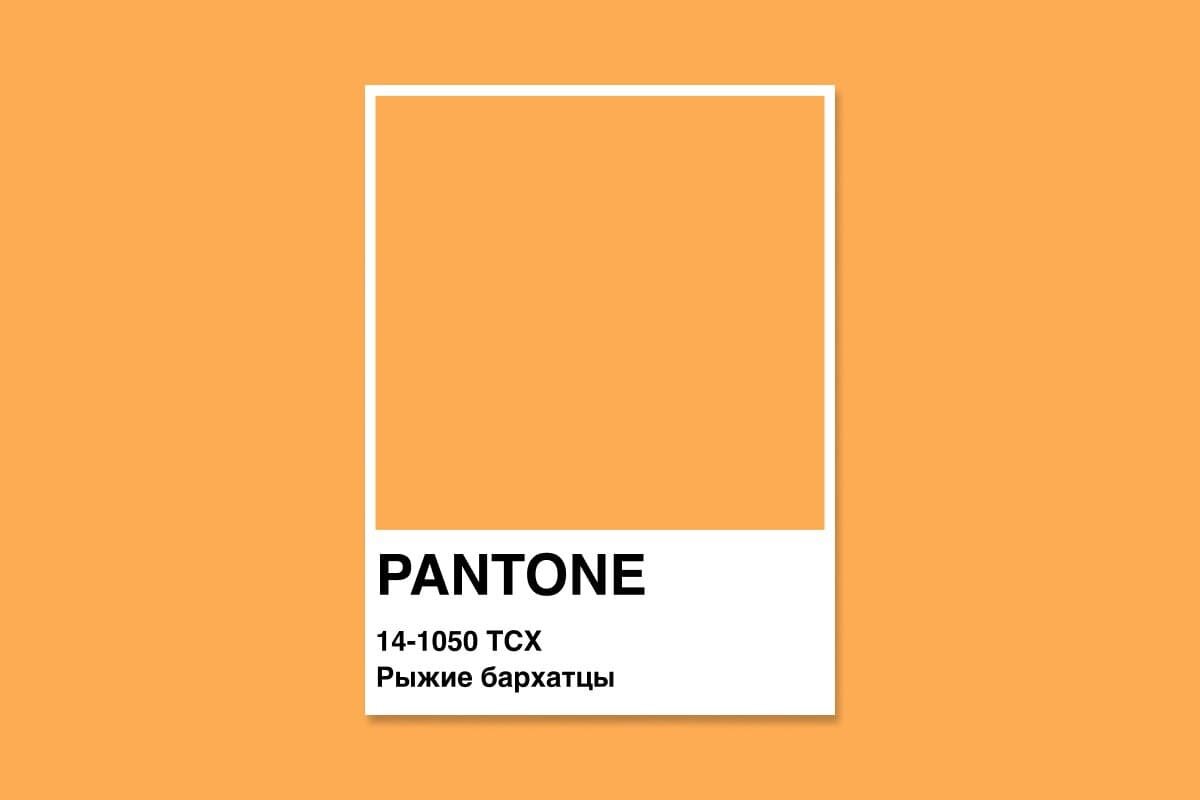 Pantone 14-1050 TCX