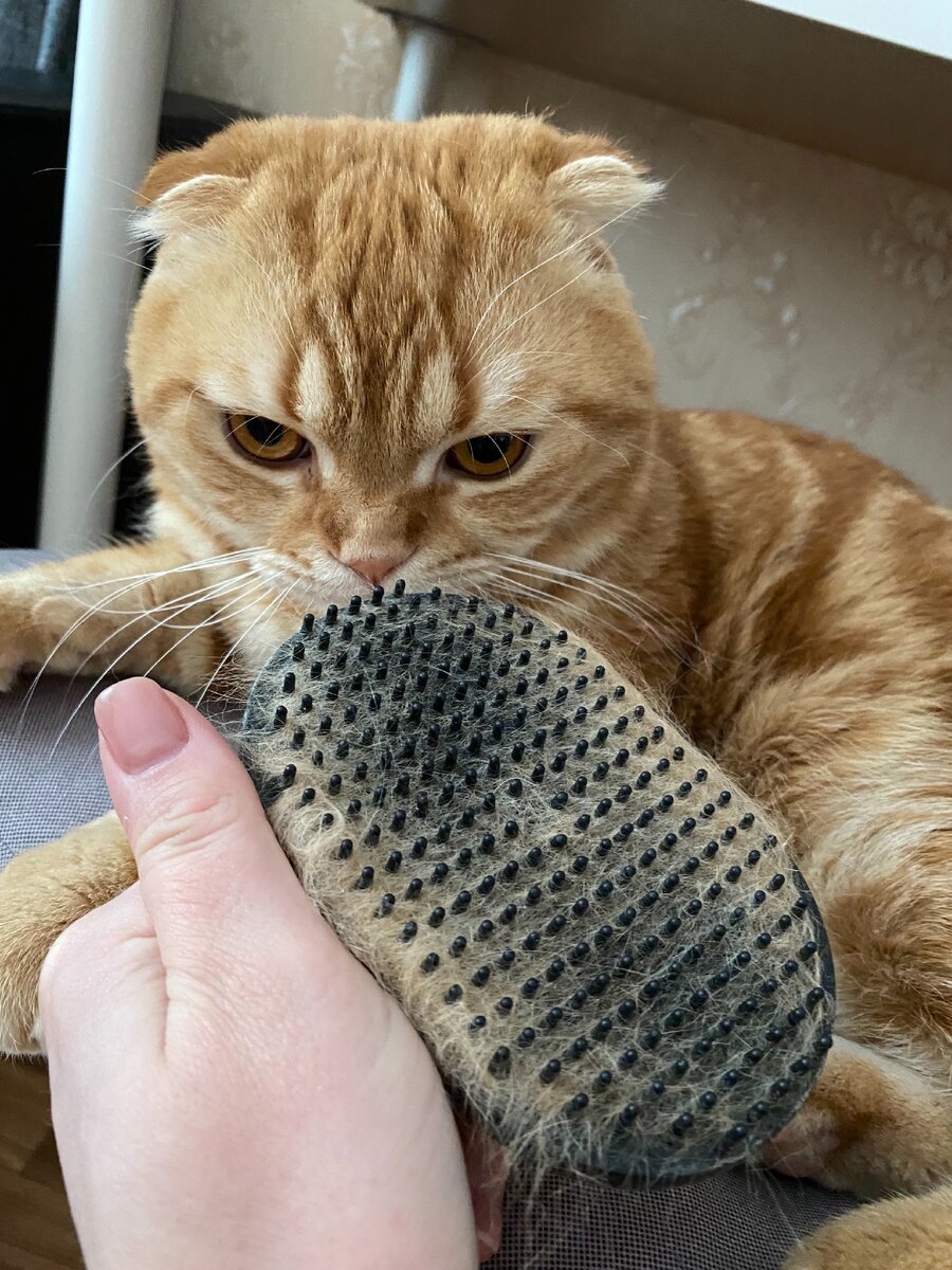 Силиконовая щетка для вычесывания