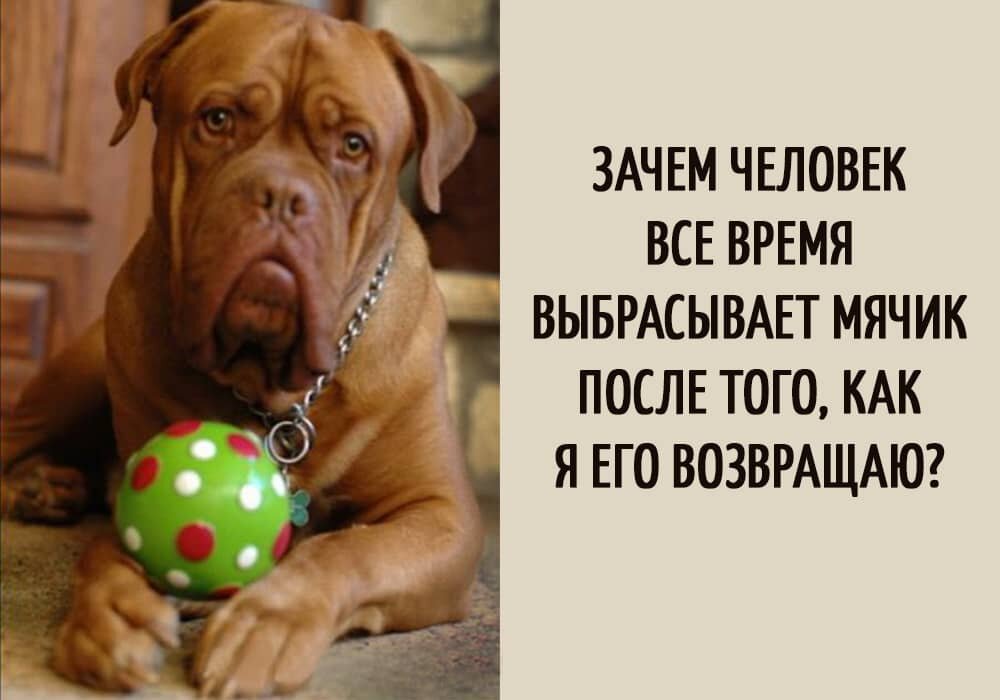 Источник фото: Яндекс
