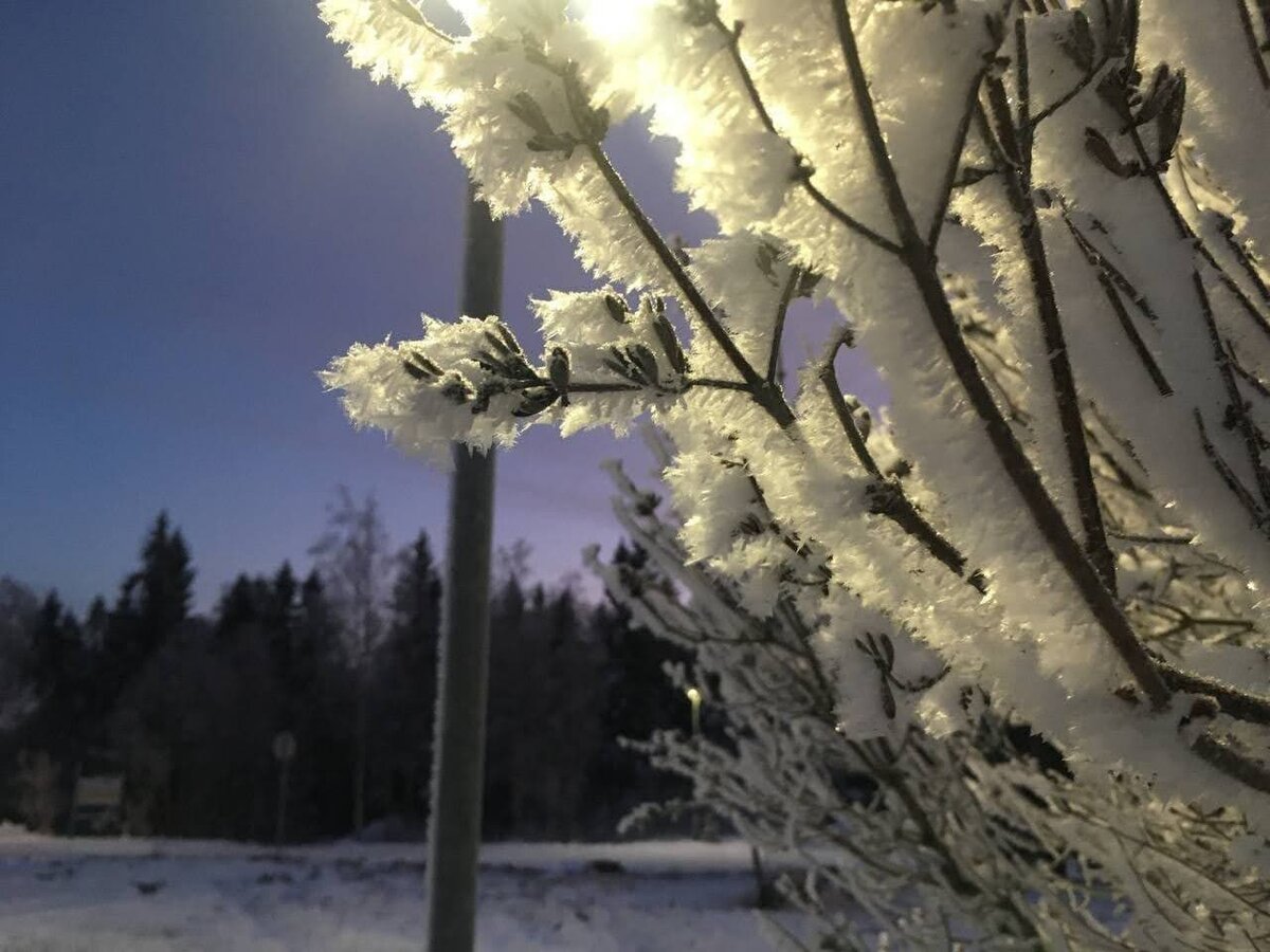 Вечером после работы