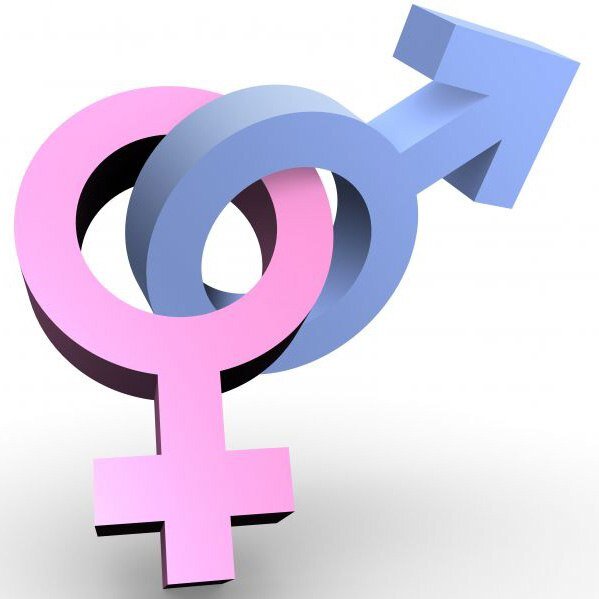 Взята с открытых источников