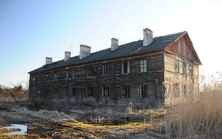 д. Назия (фото с интернета) 