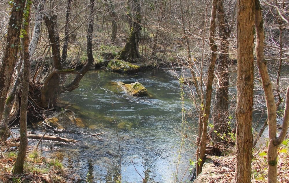  Одна из горных рек, впадающих в Чернореченское водохранилище. Фото Владимир Илларионова.