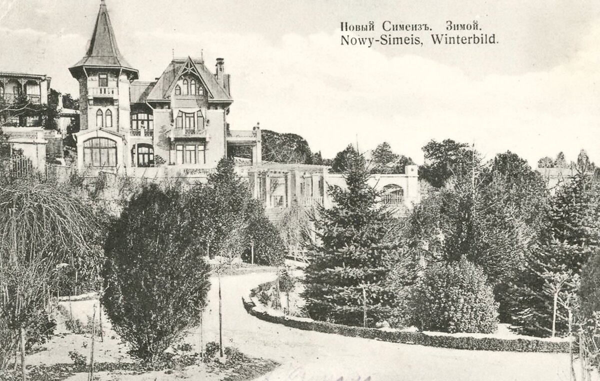 Молодые растения в Приморском парке Симеиза. Открытка 1910-х годов